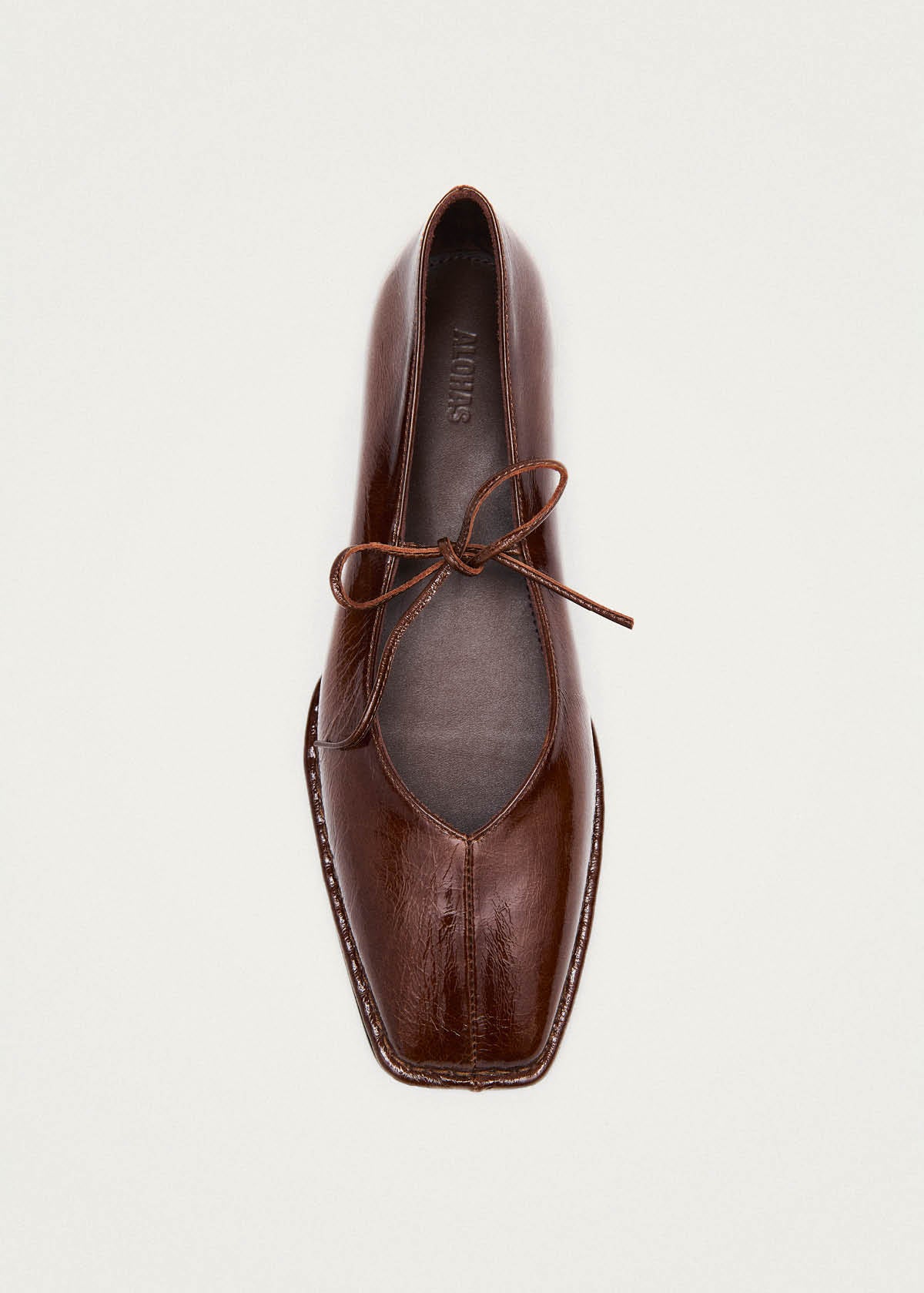 sway-onix-brown-leather-ballet-flats-2